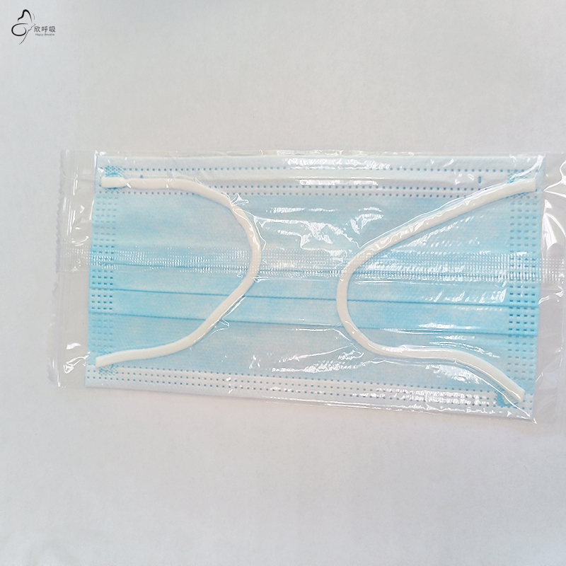 100개 블루 빅 사이즈 일회용 안면 마스크 3층 부직 - Disposable Mask Blue 리뷰 및 가격